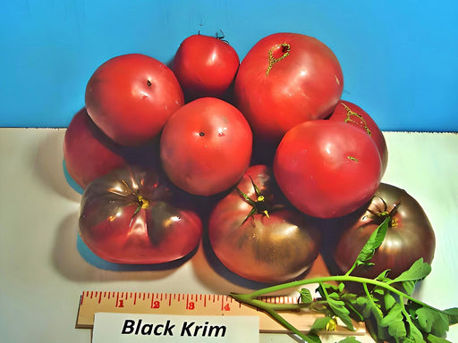 a pile of tomatoes sitting next to a ruler