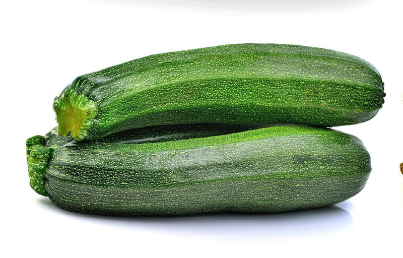 Black Beauty Zucchini - Heirloom Summer Squash Seeds | Non GMO, Early Maturity