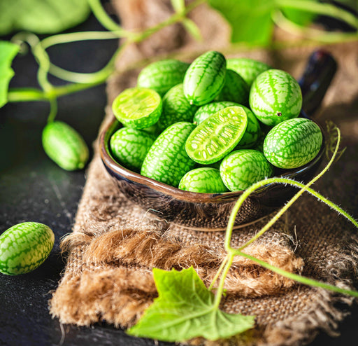 Cucamelon Mexican Sour Gherkin - Heirloom Seeds For Tangy Cucumber Flavor