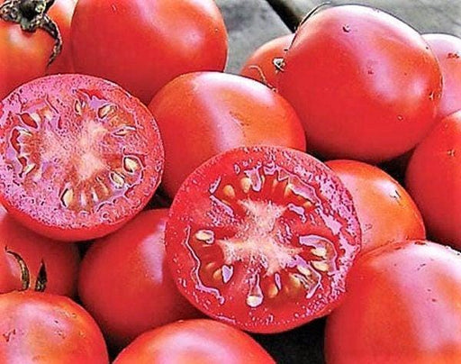 Siberian Tomato