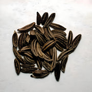 Caraway Herb Seeds – Culinary & Medicinal Herbs | Heirloom Non GMO Seed Packets