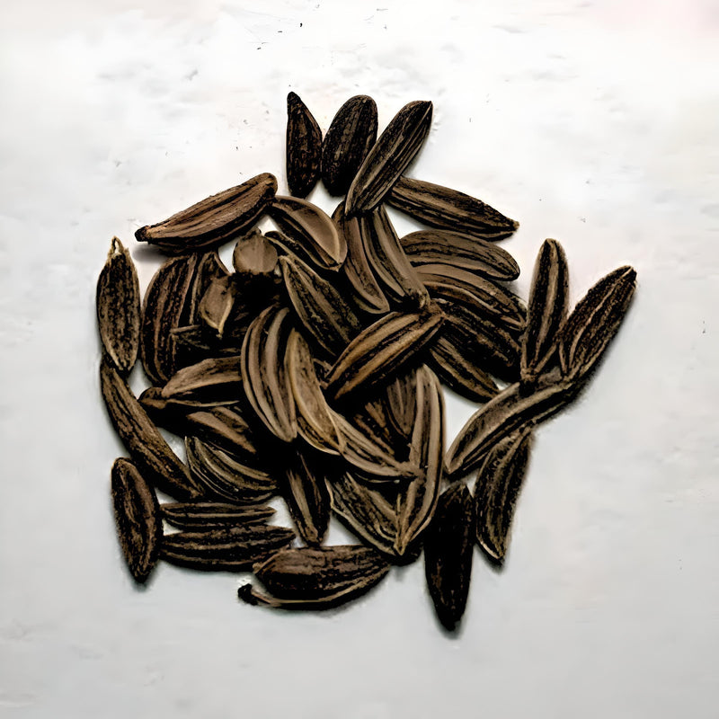Caraway Herb Seeds – Culinary & Medicinal Herbs | Heirloom Non GMO Seed Packets