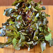 Red Oakleaf Lettuce - Heirloom Seeds | Burgundy Leaf Variety, Fast Growing