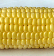 Top Hat Sweet Corn – Heirloom Organic Corn Seeds | Earworm Resistant, Golden Ears