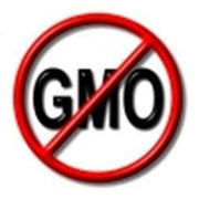 a red circle with a diagonal line through it, and the letters "GMO" inside the circle.