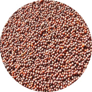 Sugukina Turnip Seeds - Heirloom Pickling Turnip Variety for Cool Season Gardens