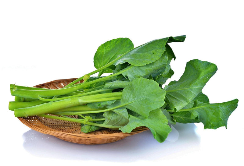 Chinese Big Stem Broccoli – Heirloom Vegetable Seeds | Cold Tolerant, Crisp Stems