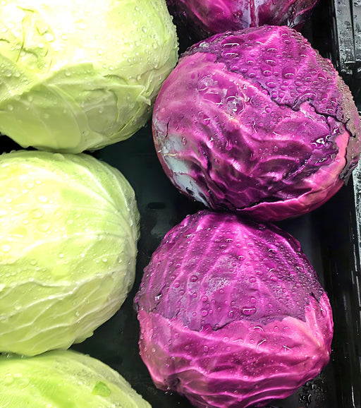 Early Red Cabbage – Heirloom Seeds | Compact Purple Heads for Salads & Slaw