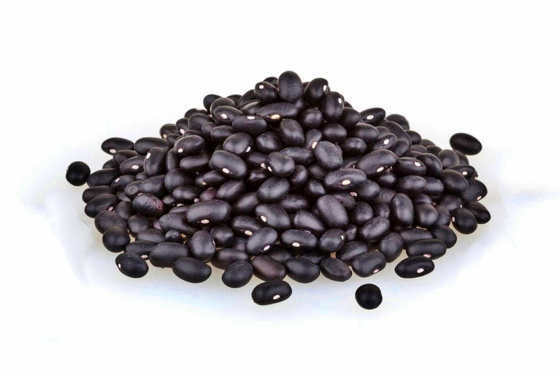 Dry Bush Beans - Heirloom Bush Bean Seeds | Early Maturing, High Protein