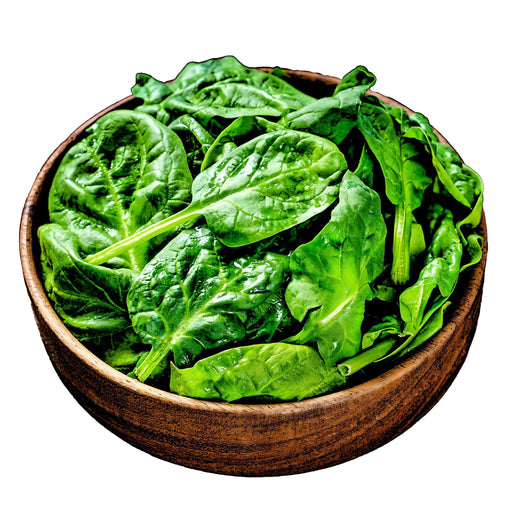 French Viroflay Spinach – Heirloom Seeds for Fast Growing Garden Greens