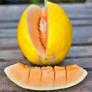 Crenshaw Melon Seeds - Heirloom, Non GMO, Open Pollinated Premium Garden Seeds