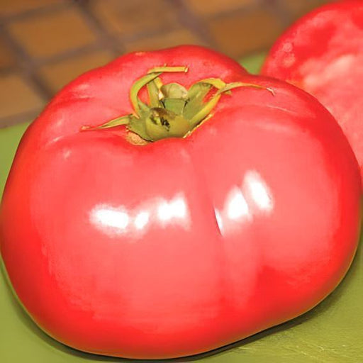 Delicious Tomato