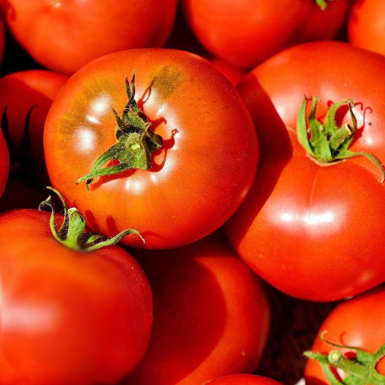 Heirloom Seeds