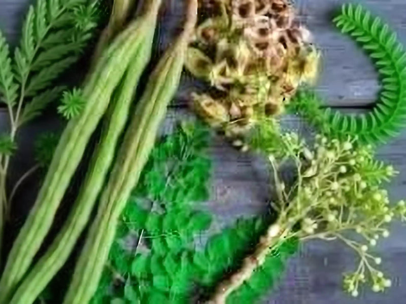 a variety of green plants and flowers, including ferns, bamboo, and other foliage, arranged on a wooden surface.