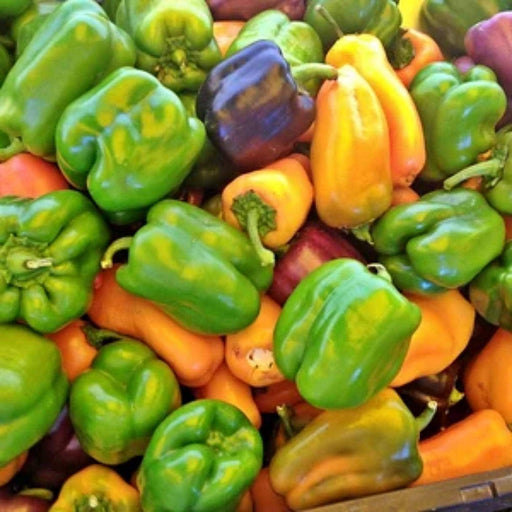 Rainbow Garden Seeds | Heirloom Seed Mix Vegetable Collection - Organic Assortment