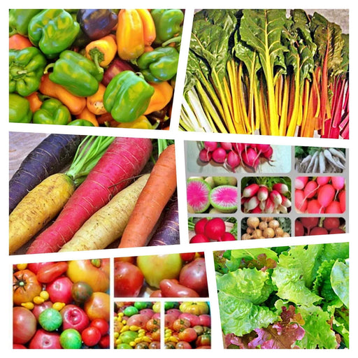 Rainbow Garden Seeds | Heirloom Seed Mix Vegetable Collection - Organic Assortment