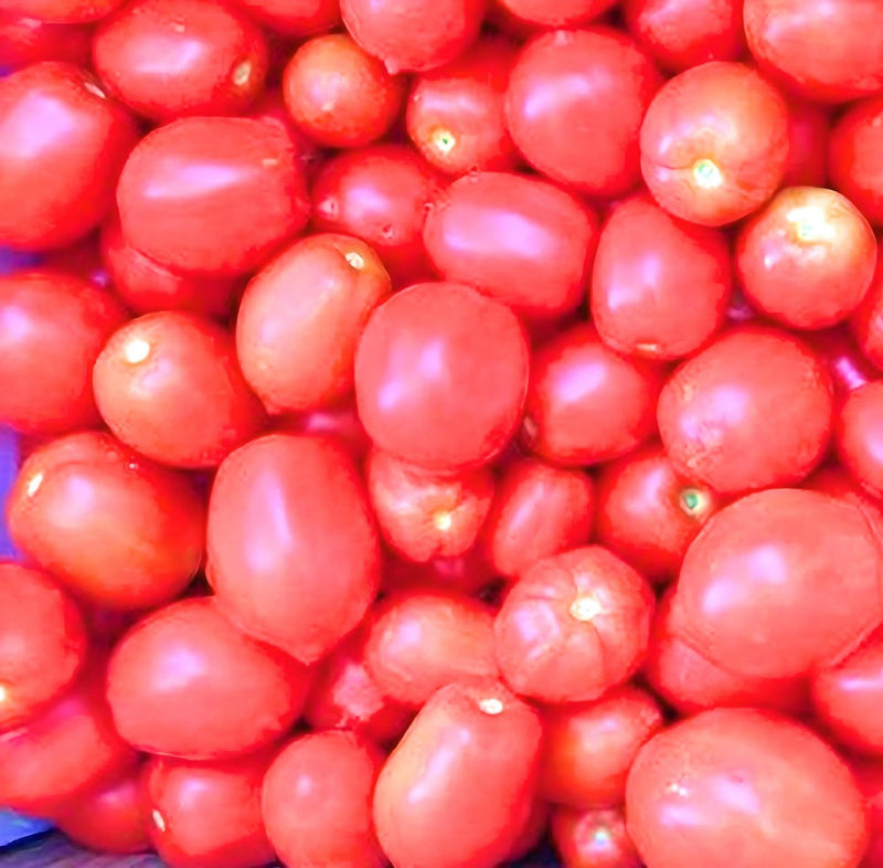 Northern Ruby Paste Tomato