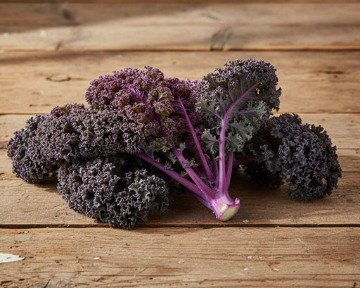 Frisé Rouge Kale - Heirloom Purple Stem Seeds | Organic, Nutrient Rich Greens