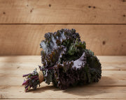 Frisé Rouge Kale - Heirloom Purple Stem Seeds | Organic, Nutrient Rich Greens