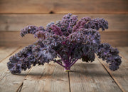 Frisé Rouge Kale - Heirloom Purple Stem Seeds | Organic, Nutrient Rich Greens