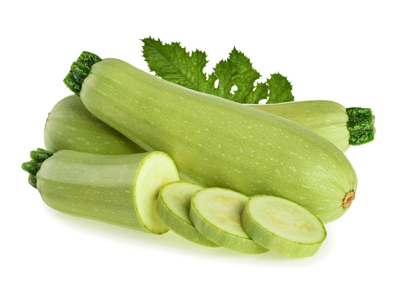 Bianco Lungo Zucchini - Italian Summer Squash | Heirloom Seeds, Non GMO