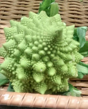 Romanesco Broccoli Seeds – Heirloom Italian Vegetable Garden Seeds, Non GMO