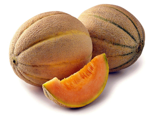 Honey Rock Melon Heirloom Cantaloupe Seeds | Sweet Salmon Flesh Melon