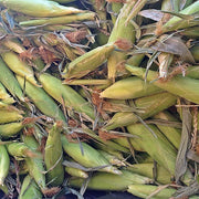 Golden Bantam Corn - Early Sweet Corn Seeds | Drought Tolerant & Freeze Friendly