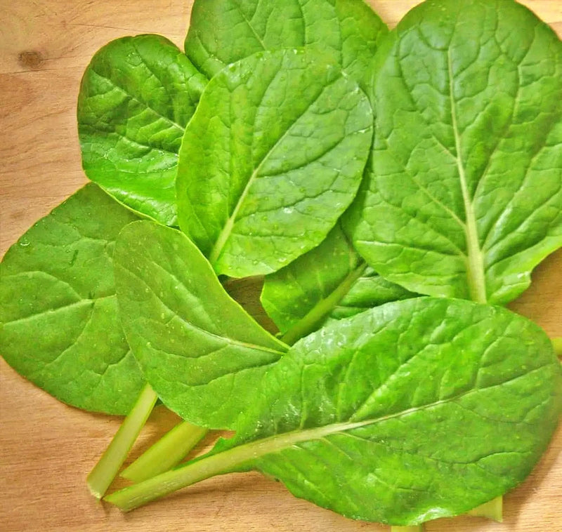 Japanese Komatsuna Seeds – Heirloom Mustard Greens | Cold Hardy Leafy Greens