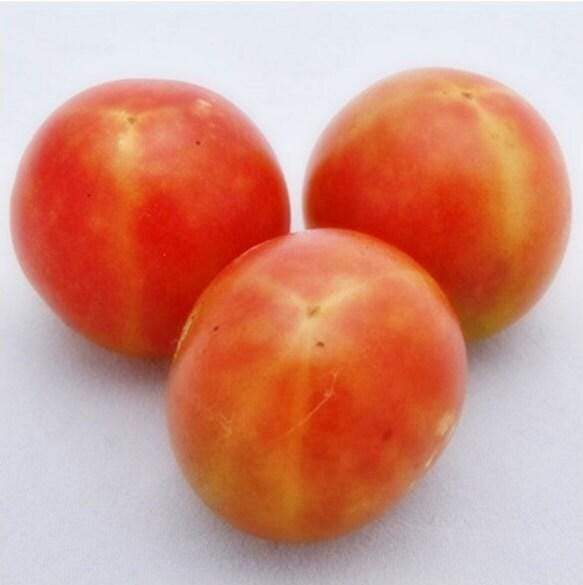 Three ripe, red tomatoes are arranged in a triangular formation on a white surface.