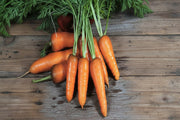 Royal Chantenay Carrot Seeds – Heirloom, Open Pollinated, Sweet Mild Flavor
