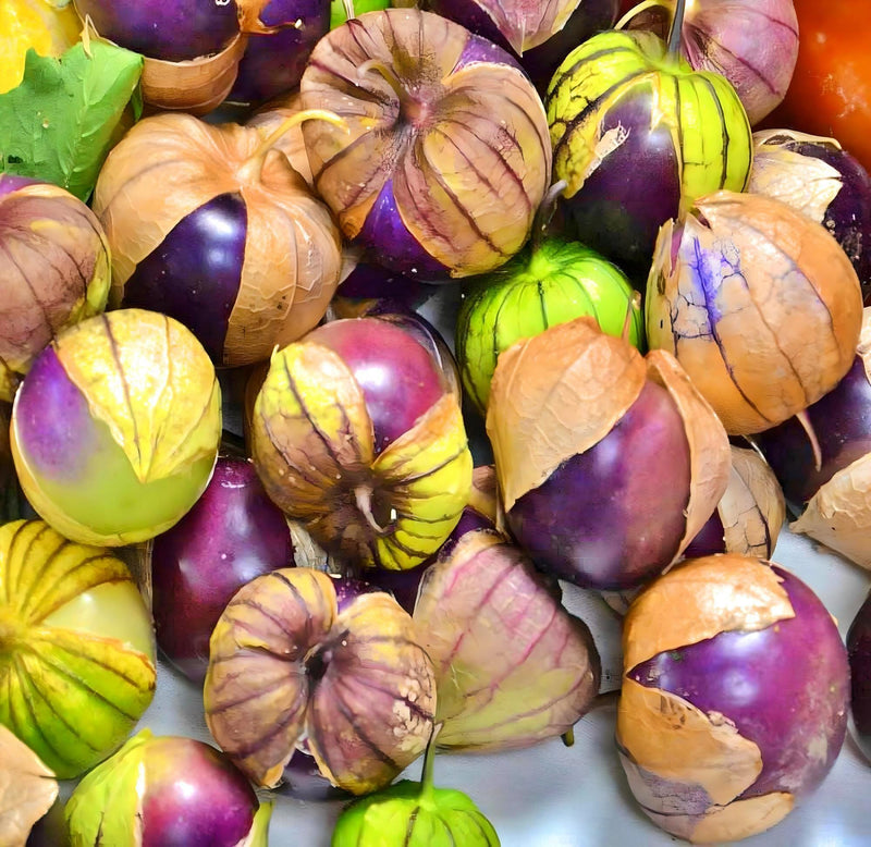 Purple Tomatillo Seeds - Heirloom Sweet Fruit | Open Pollinated, Non GMO