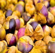 Purple Tomatillo Seeds - Heirloom Sweet Fruit | Open Pollinated, Non GMO
