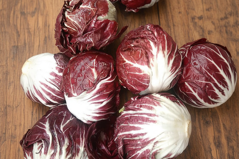 Radicchio Rossa Di Verona Heirloom Seeds - Vibrant Red Leaves, Bitter Spicy Flavor