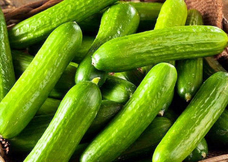 Tendergreen Burpless Cucumber Heirloom Seeds | Sweet, Non Bitter, Medium Green