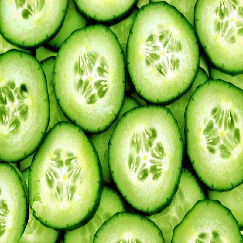 Tendergreen Burpless Cucumber Heirloom Seeds | Sweet, Non Bitter, Medium Green
