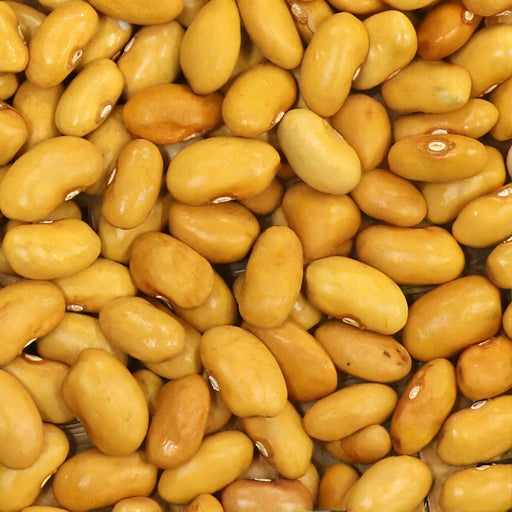 Amarillo Dry Bush Bean