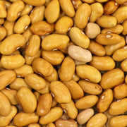 Amarillo Dry Bush Bean