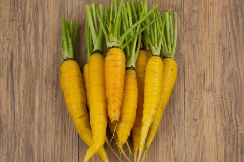 Colorful Carrot Seeds – Heirloom Seed Collection | Red Yellow Purple Carrots