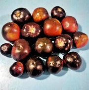 Black Beauty Tomato