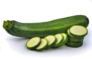 Fordhook Zucchini