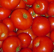 Rutgers Tomato