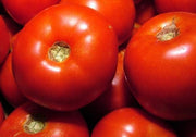 Rutgers Tomato