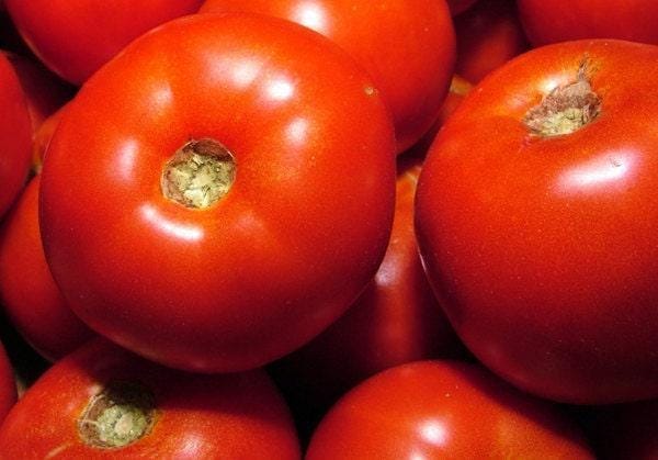 Rutgers Tomato