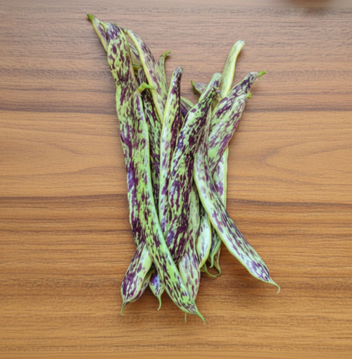 Rattlesnake Pole Beans