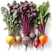 Heirloom Beet Seed Collection
