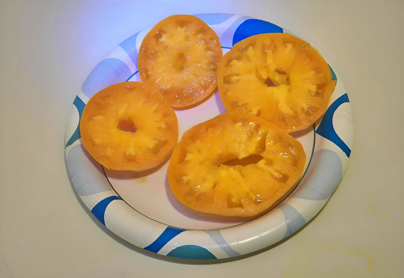 Dr. Wyche Yellow Tomato