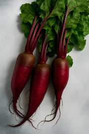 Heirloom Beet Seed Collection