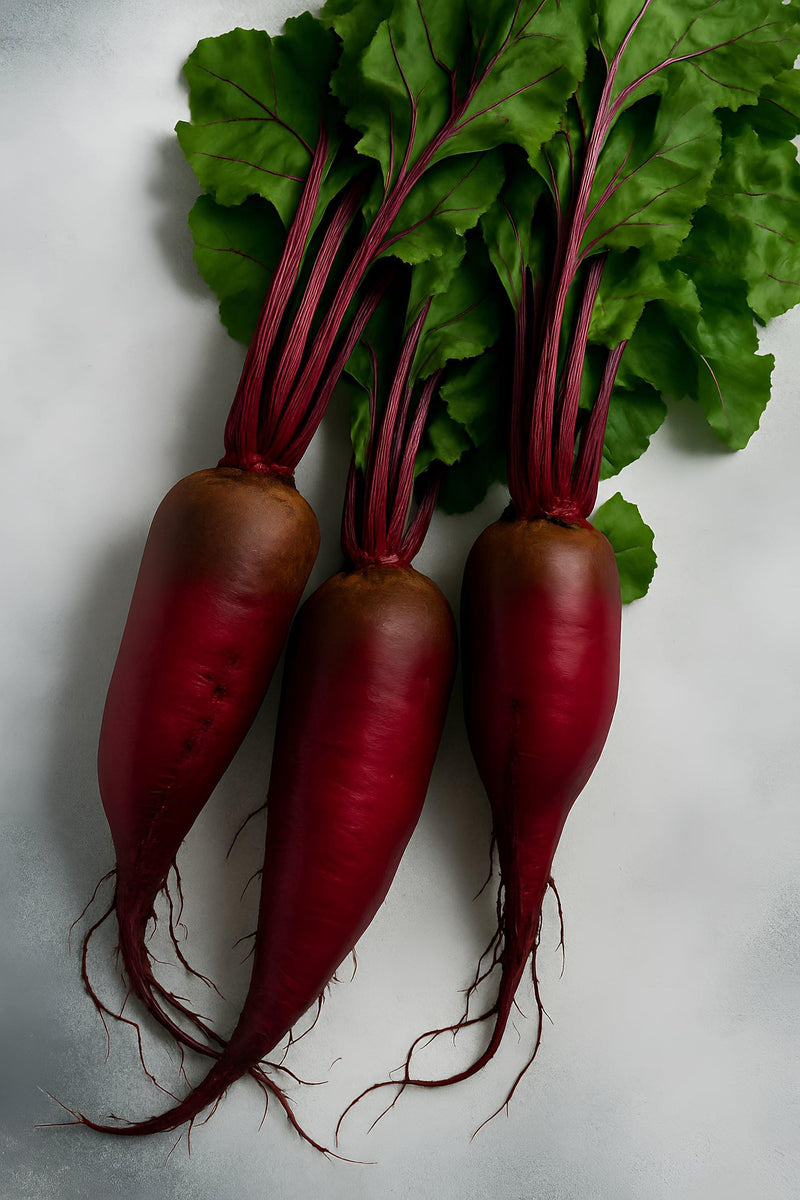 Heirloom Beet Seed Collection