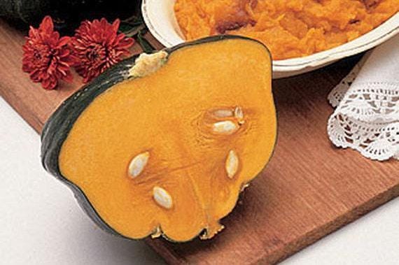 Burgess Buttercup Squash - Heirloom Winter Seeds | Sweet Orange Flesh, Hard Rind